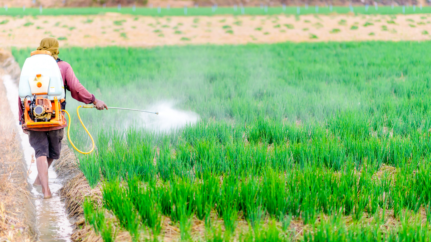 Farmer Spraying Pesticide on Crops